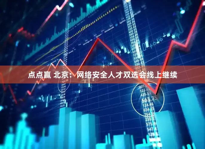 点点赢 北京：网络安全人才双选会线上继续